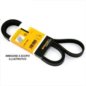 Cinghia Poly-V4PK698 - Imagen 1 de 1
