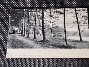 1905 South Walk, Wildwood Park, Killingly Connecticut CT RPPC 615 Postkarte - Bild 1 von 8