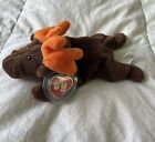 TY Beanie Baby Chocolate the Moose 2nd/1st Gen MWMT!  RARE!!