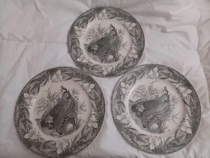 Audubon Birds of America Goose 3 Dinner Plates. Hand Painted John Adams - Picture 1 of 16