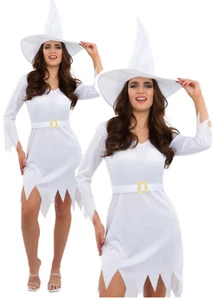 Disfraz de Bruja Buena Damas Brujas Vestido Elegante Conjunto + Sombrero Halloween - Imagen 1 de 6