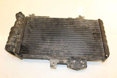 2011 BMW F650gs Engine Radiator Motor Cooler Cooling Radiater 17 11 7 678 284 Foto 1 de 4