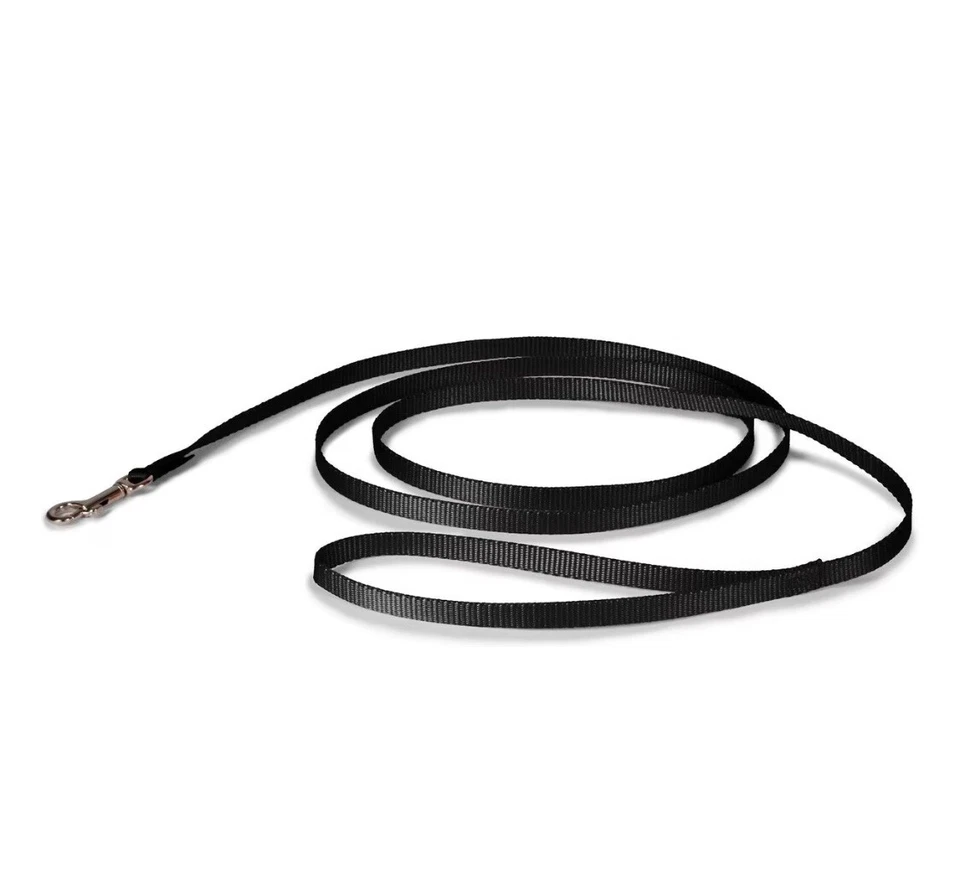 Correa de nailon Coastal de un solo grosor 5/8 para perro 6’ Foto 1 de 1