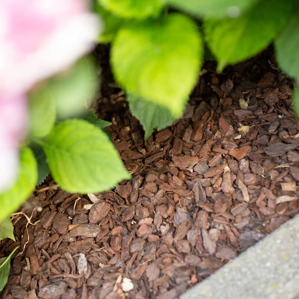 Kölle Bio Stauden- & Rosenmulch 60 Liter