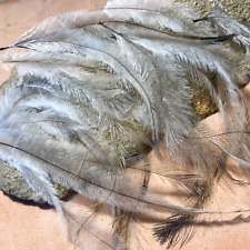 100 PREMIUM Australian EMU Feathers - EARRINGS, CLOAKS, FLY FISHING, JEWELLERY