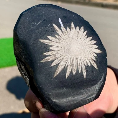 176G Natural Chrysanthemum Stone Quartz Carving Halo Treatment Gift - Image 1 of 4