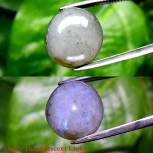 21.01ct 17mm Round Cabochon Natural Rainbow With Luster Labradorite Gemstone - Picture 1 of 6