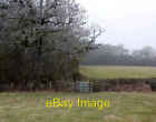 Photo 6x4 Footpath to Calcutt Spinney Napton on the Hill Approaching Calc c2009