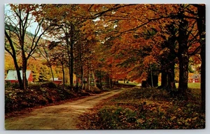 Postcard Vermont Scenic Fall Autumn Foliage View Country Road c1960s Farm VT - Picture 1 of 2