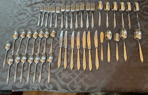 Cubiertos cubiertos KOBA KBA5 Japón acero inoxidable UNA SOLA ROSA 45 piezas con extras - Imagen 1 de 11