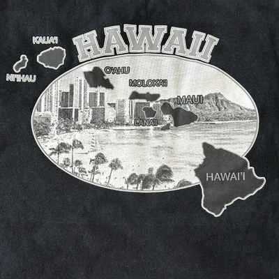 Gildan Hawaiian Islands 标志黑色 T 恤 XL 带条纹袖子 — 第 1/4 张图片