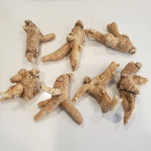 1LB Grade A 100% Hand Selected American Ginseng Round Root Ginseng Root 美国花旗泡参 - Picture 1 of 3