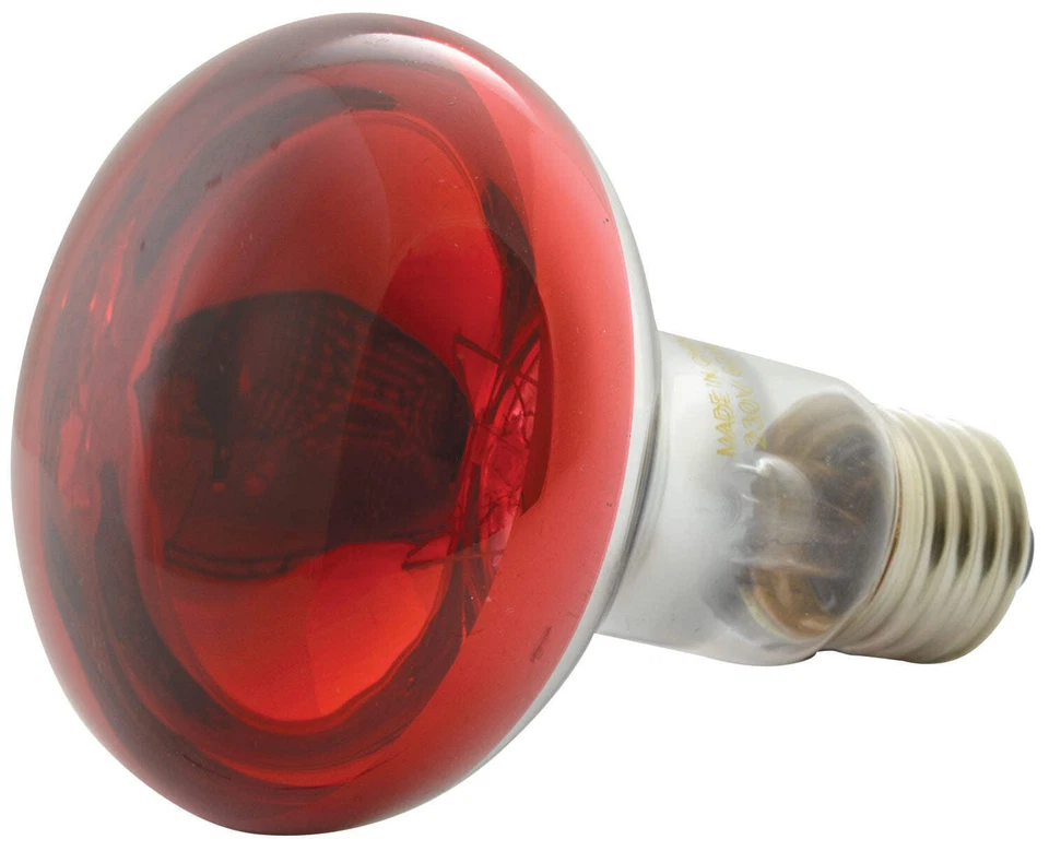 Qtx R80 Reflector Bulb E27 Red - Image 1 of 1