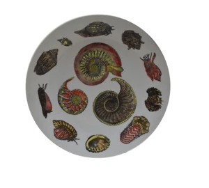 Vintage Piero Fornasetti Conchiglie Seashell Plate 9.5" 1960'-1970's Italy - Picture 1 of 3