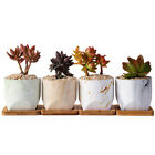  Creative Flower Pot Ceramic Succulent Plant Pots Office Stone
