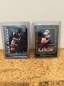 WWE/WWF Fleet All Access Card Lot - The Undertaker, Karte # 100&33, sehr guter Zustand, Wrestling - Bild 1 von 14