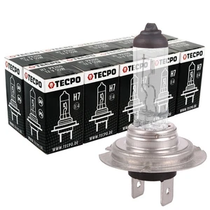 10x H7 BIRNEN 12V 55W LAMPEN AUTO-LAMPE BIRNE TECPO HALOGEN PX26d GLÜHBIRNE - Bild 1 von 4