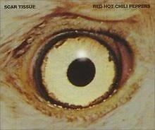 Scar Tissue von Red Hot Chili Peppers | CD | Zustand gut - Bild 1 von 1