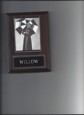 WILLOW PLAQUE WRESTLING TNA JEFF HARDY WWE Cover