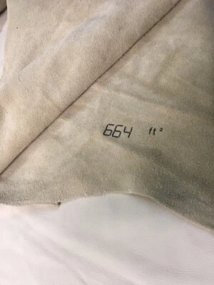 GIANT CREAM-BEIGE COW HIDE SKIN LEATHER UPHOLSTERY OR GARMENT 664 SQ FT.  ITALY - Image 1 of 4