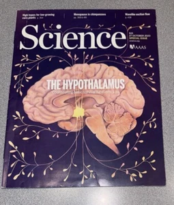 AAAS Science Magazine October 27 2023 Hypothalamus - Picture 1 of 7