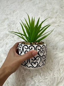 Potted faux succulent plant, Office decor, Fake plants for Decor - Picture 1 of 3