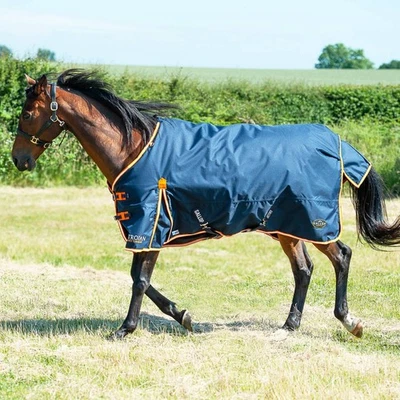 Gallop Trojan / Ponie Duraproof 100g Horse Turnout Rug, Std Neck Lightweight Rug - Image 1 of 2