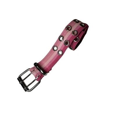 Pink Striped Grommet Belt Double Buckle Fashion Waist Belt Adjustable - Image 1 of 4
