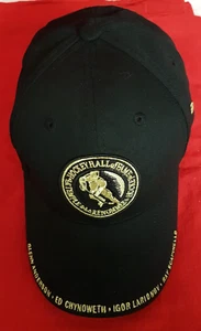 National Hockey Hall Of Fame Hat 2008 Induction Celebration. Nicely Embroidered - Bild 1 von 13