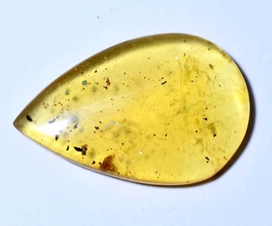 Unbehandelt Natürlich Bernstein mit Klein Insekt Innen 19.10 Karat Zertifiziert - Bild 1 von 7