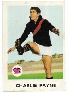 1965 Scanlens (29) Charlie PAYNE Essendon (Rookie Card) - Imagen 1 de 2