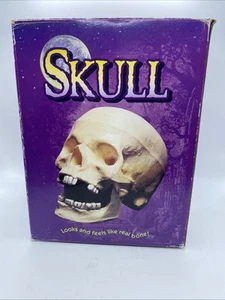 Vtg 1995 The Paper Magic Group life like 7" Skull Complete Halloween W/Box! - Picture 1 of 14