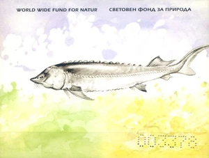 Bulgaria. Fauna. Moray eel 2004. WWF. Booklet. - Picture 1 of 1