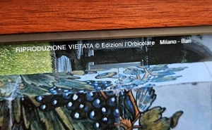 Ampia stampa fotografica del Chiostro maiolicato Chiesa di Santa Chiara a Napoli - Foto 1 di 6