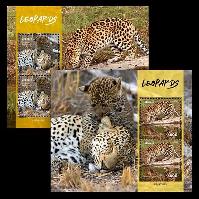 Estampillas de leopardo MNH 2024 Liberia 2 M/S Foto 1 de 3