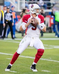 Carson Palmer #3 Arizona Cardinals NFL 8"X10" Glossy Photo Print 1-BVX - Picture 1 of 1