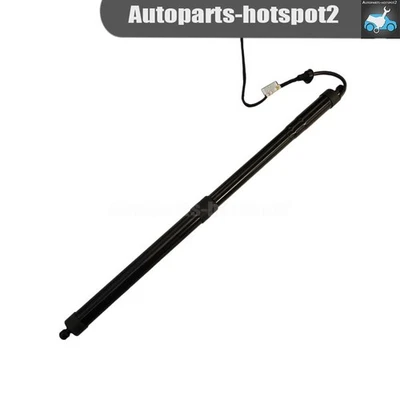 New 689100E060 Right Lift Gate Power Cylinder Strut Fits 2016-2019 LEXUS RX350 Foto 1 de 4
