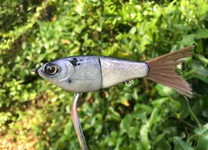 SPEEDBAITS Custom Airbrushed Finesse Glide Bait - Picture 1 of 16