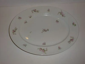 Precioso plato grande ovalado Compte D'Artois Limoges - rosas rosas rosas - Imagen 1 de 12