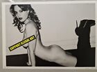 Sia Aliace De Death Nyc Serigraphie Rare 32X45 No Banksy No Warhol