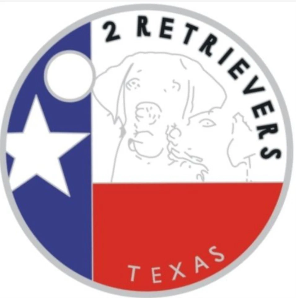 Pathtag #5270 - 2 Retriever ORIGINAL BACK Geocoin Alt - Bild 1 von 1