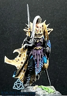 Painted Black Ark Fleetmaster Dark Elves WFB AOS Mordheim Idoneth Deepkin - Image 1 of 4