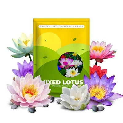 10 semillas de flor de loto de tazón mixto para plantar, plantas de flores de nenúfar, huesos... Foto 1 de 4