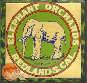 *Original* ELEPHANT ORCHARDS Redlands SCARCE Orange Crate Label NOT A COPY! - Picture 1 of 2