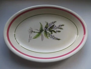 Primula Oval 16" Botanical Platter - Veronica Annagallies Aquatica - Mint - Picture 1 of 8