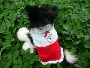 XXS handmade knit dog sweater - Picture 1 of 1