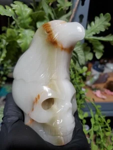 4,7 Zoll Afghanistan Jade Adler Kristall auf Schädel riesig 834 g - Bild 1 von 17