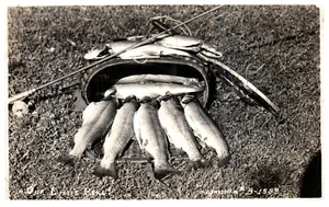 Real Photo Fish Basket Fishing Rod Posted 1946 Vintage RPPC Postcard - Picture 1 of 3