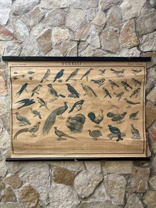 Vintage Parietale Tisch Paravia, Vögel - Bild 1 von 14