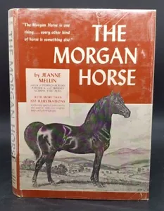 Seltene 1961 Biographie DAS MORGAN PFERD von JEANNE MELLIN illustriert Stephen Greene - Bild 1 von 17